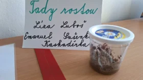 Motýli ve 3 třídě - 02