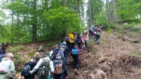 Turistická vycházka Františkov - 08